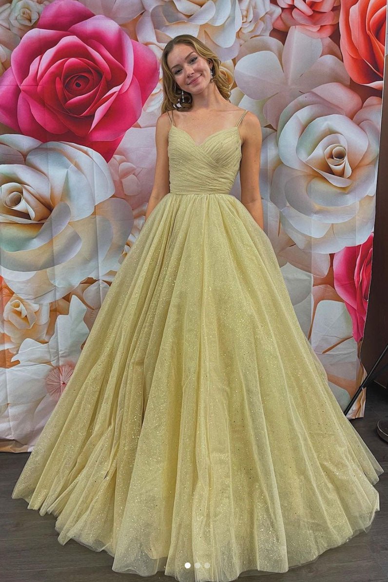Simple v neck tulle long prom dress champagne evening dress
