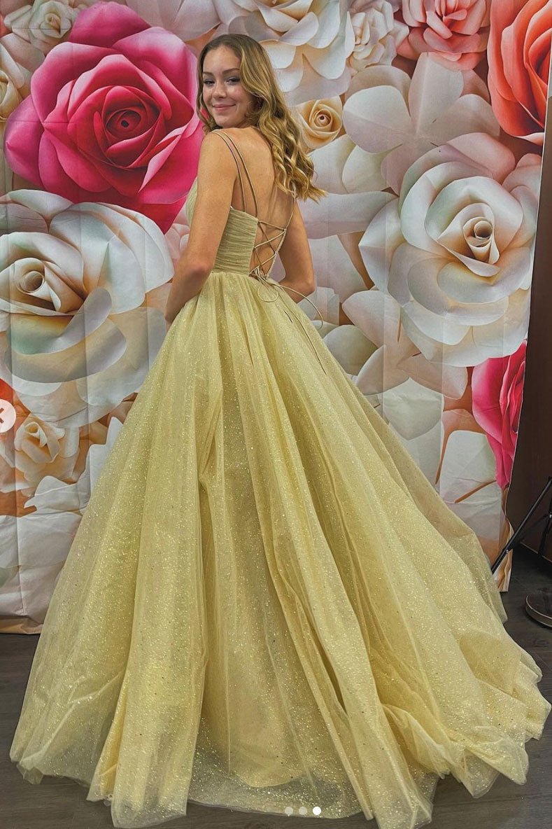 Simple v neck tulle long prom dress champagne evening dress