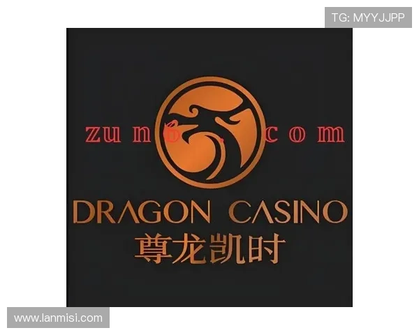 尊龙时凯官网入口：官方入口的访问速度优化与用户体验提升