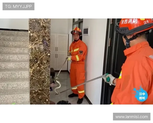 凯时app手机安全保障措施全面解析保障玩家账号信息安全